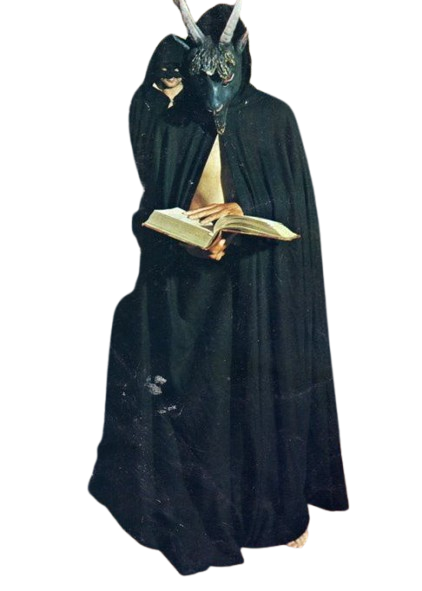 Descripción de la imagen